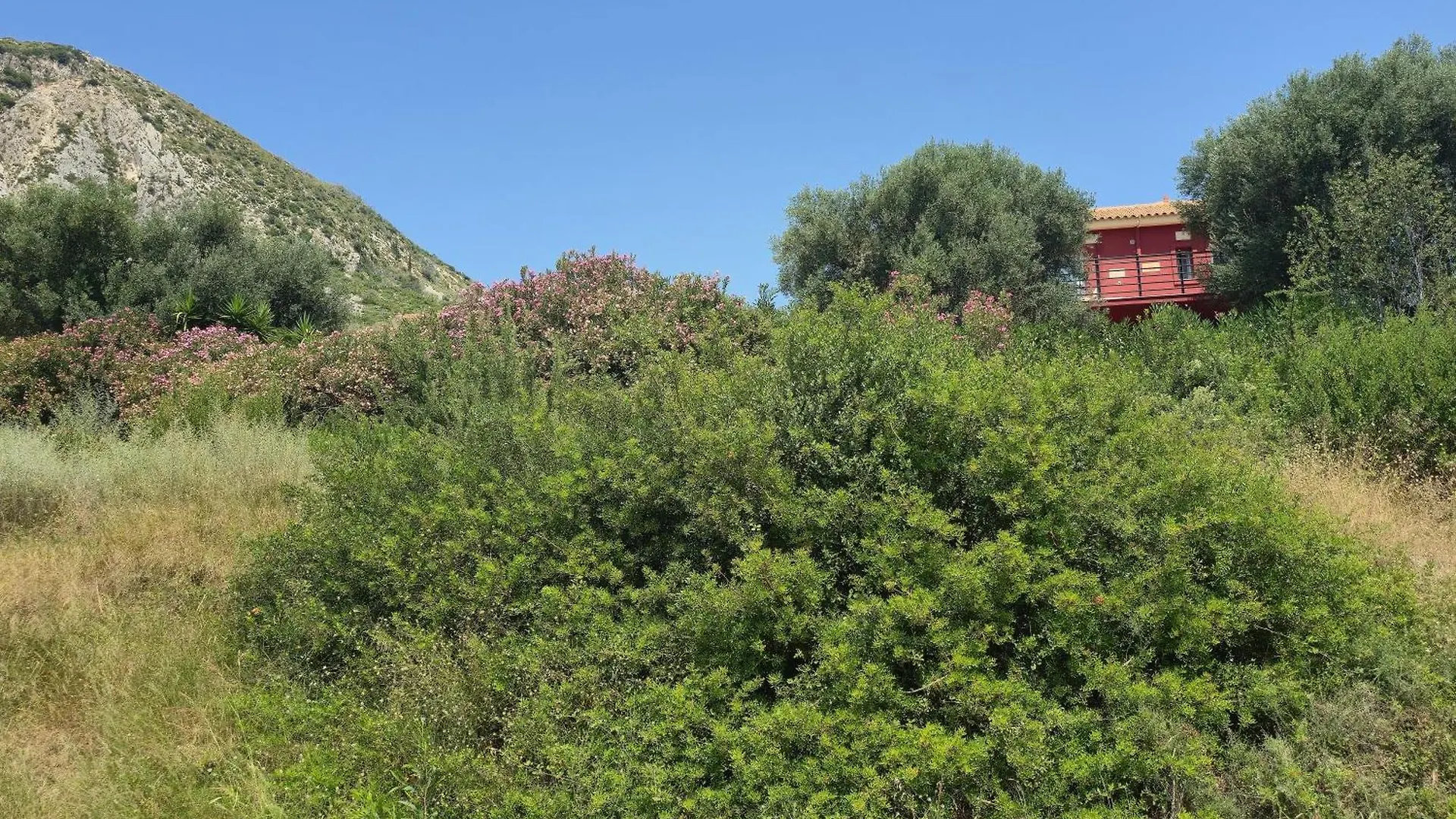קאטליוס Villa Aliona